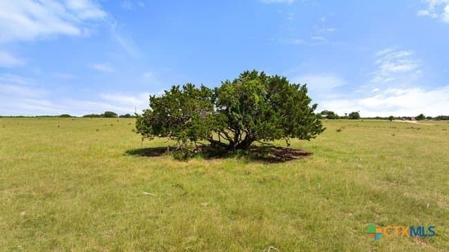 32.18 acres in Williamson County - photo 18