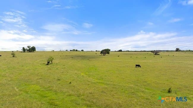 32.18 acres in Williamson County - photo 44