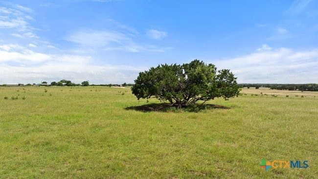 32.18 acres in Williamson County - photo 29