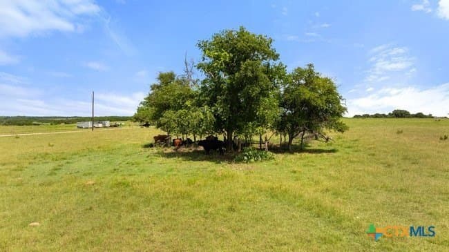 32.18 acres in Williamson County - photo 19