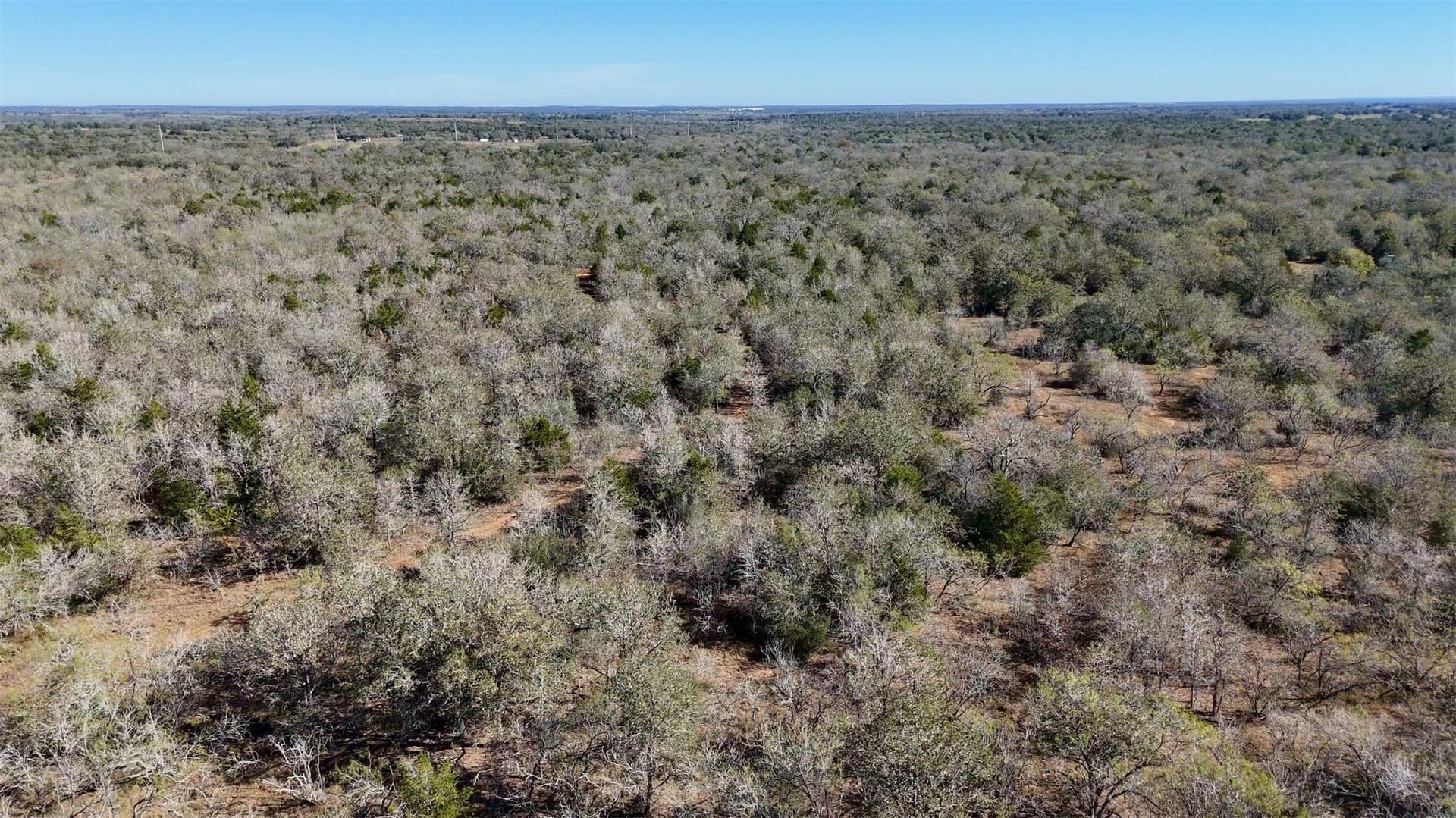 284 acres in Gonzales County gallery image 4