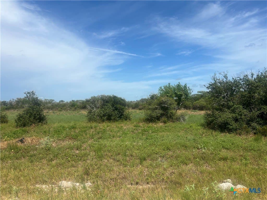 0.32 acres in Calhoun County - photo 4
