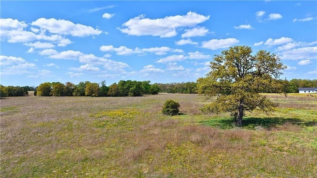 5.41 acres in Burleson County gallery image 4