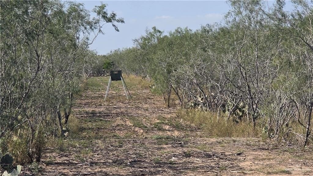106.45 acres in Hidalgo County - photo 22