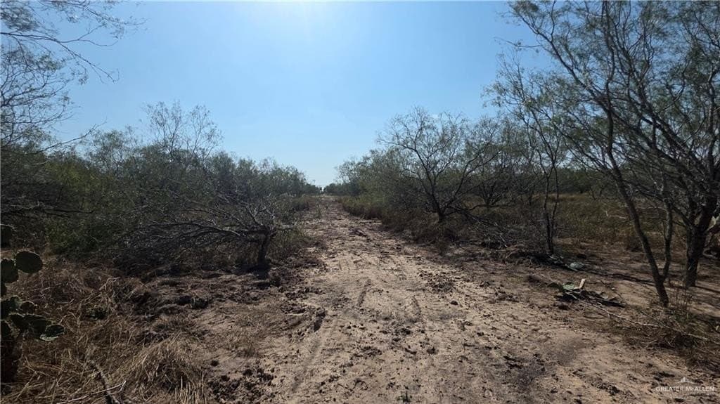 106.45 acres in Hidalgo County - photo 13