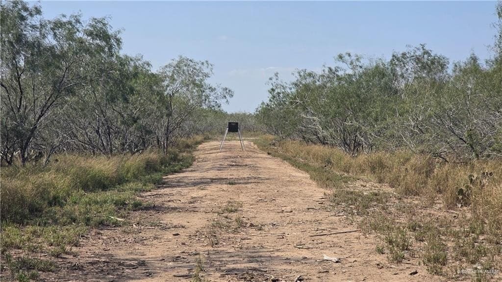 106.45 acres in Hidalgo County - photo 20
