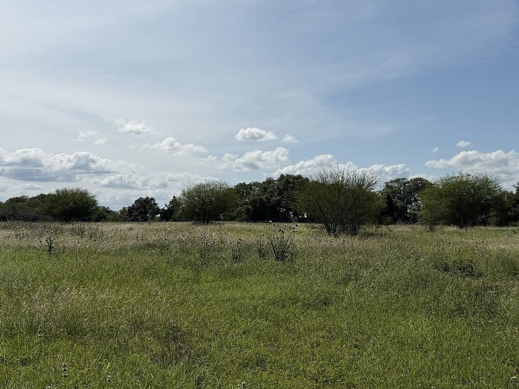 10.81 acres in Colorado County - photo 14