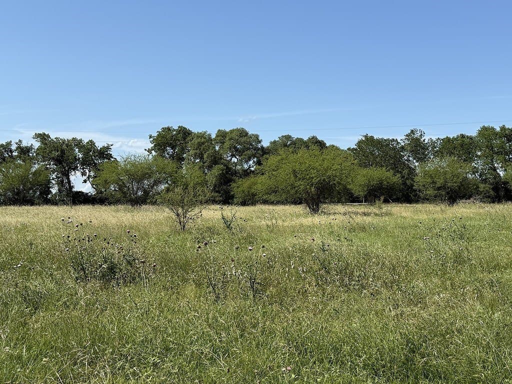 10.81 acres in Colorado County - photo 8