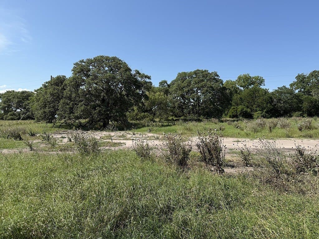 10.81 acres in Colorado County - photo 13