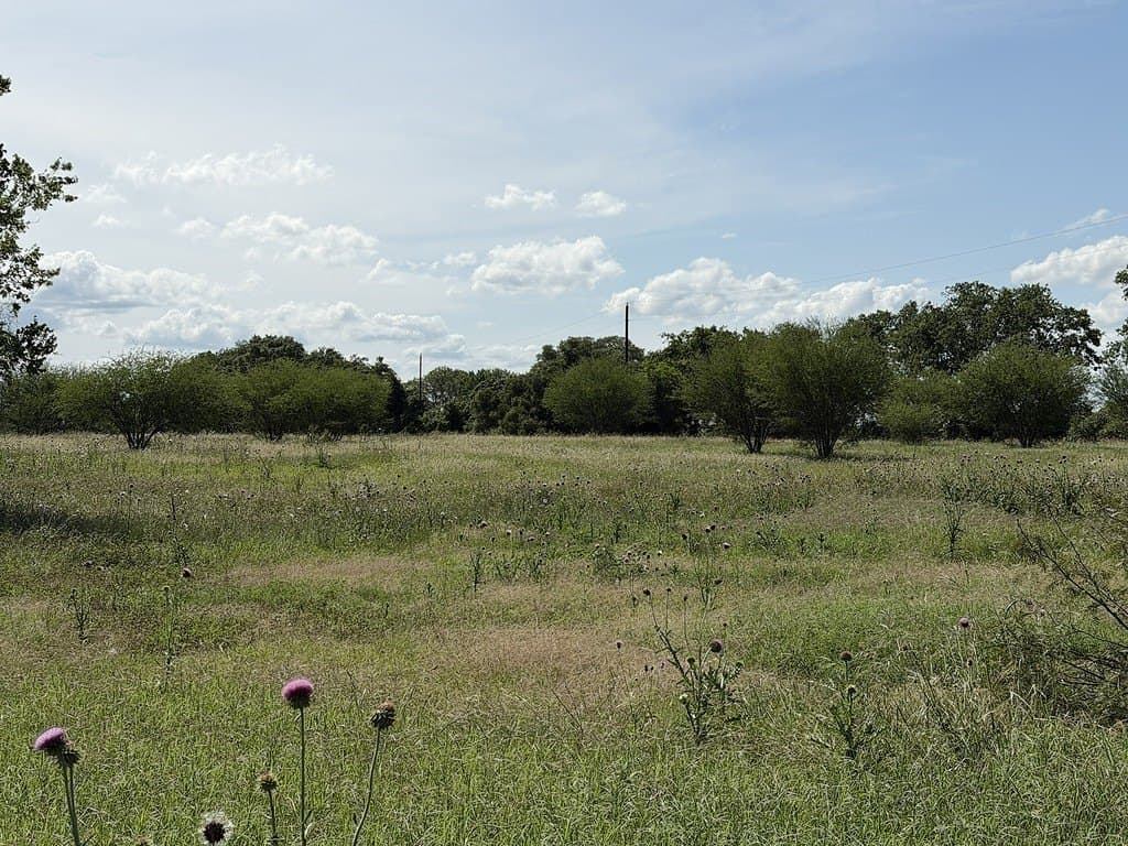 10.81 acres in Colorado County - photo 10
