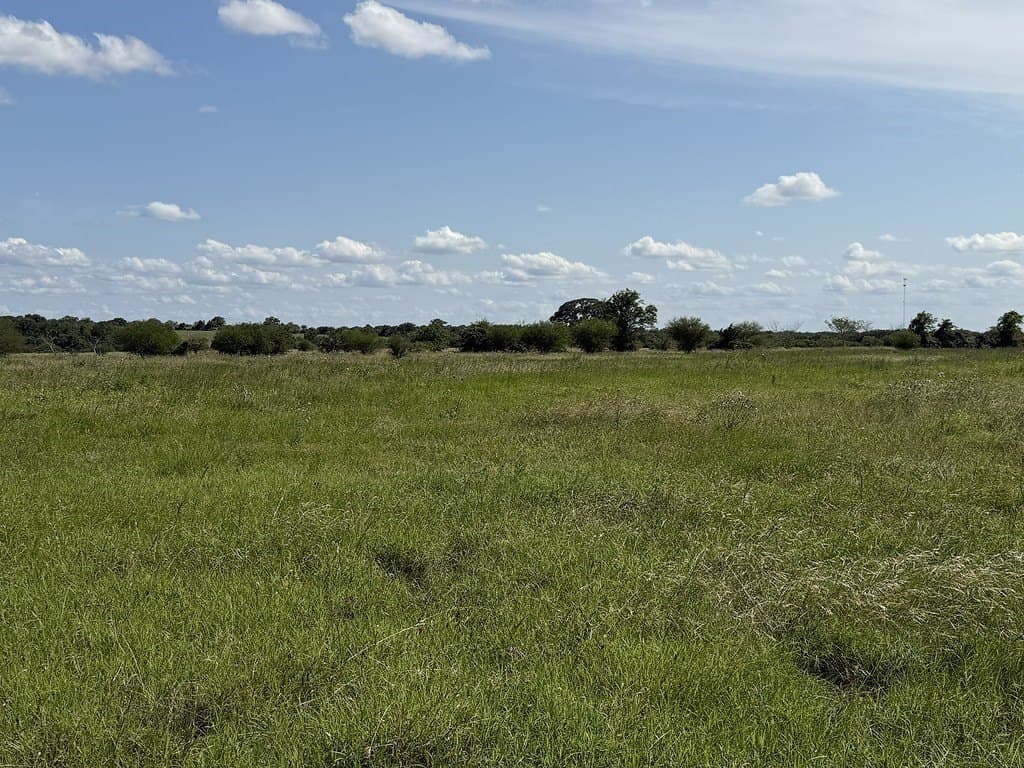 10.81 acres in Colorado County - photo 16