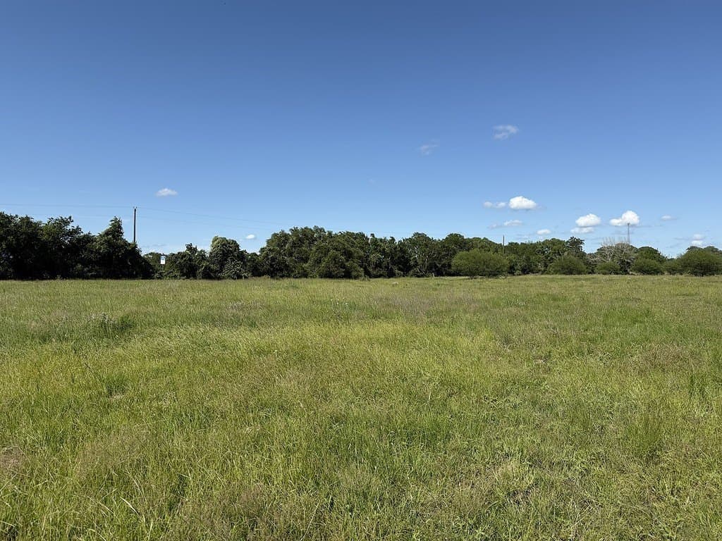 10.81 acres in Colorado County - photo 9