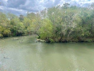 0.74 acres in Nueces County gallery image 3