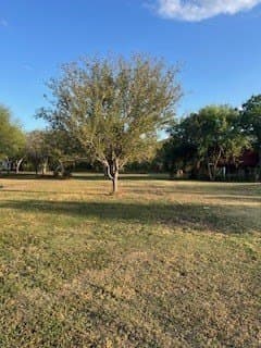 0.74 acres in Nueces County - photo 8