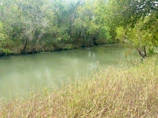 0.74 acres in Nueces County gallery image 2
