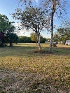 0.74 acres in Nueces County - photo 6