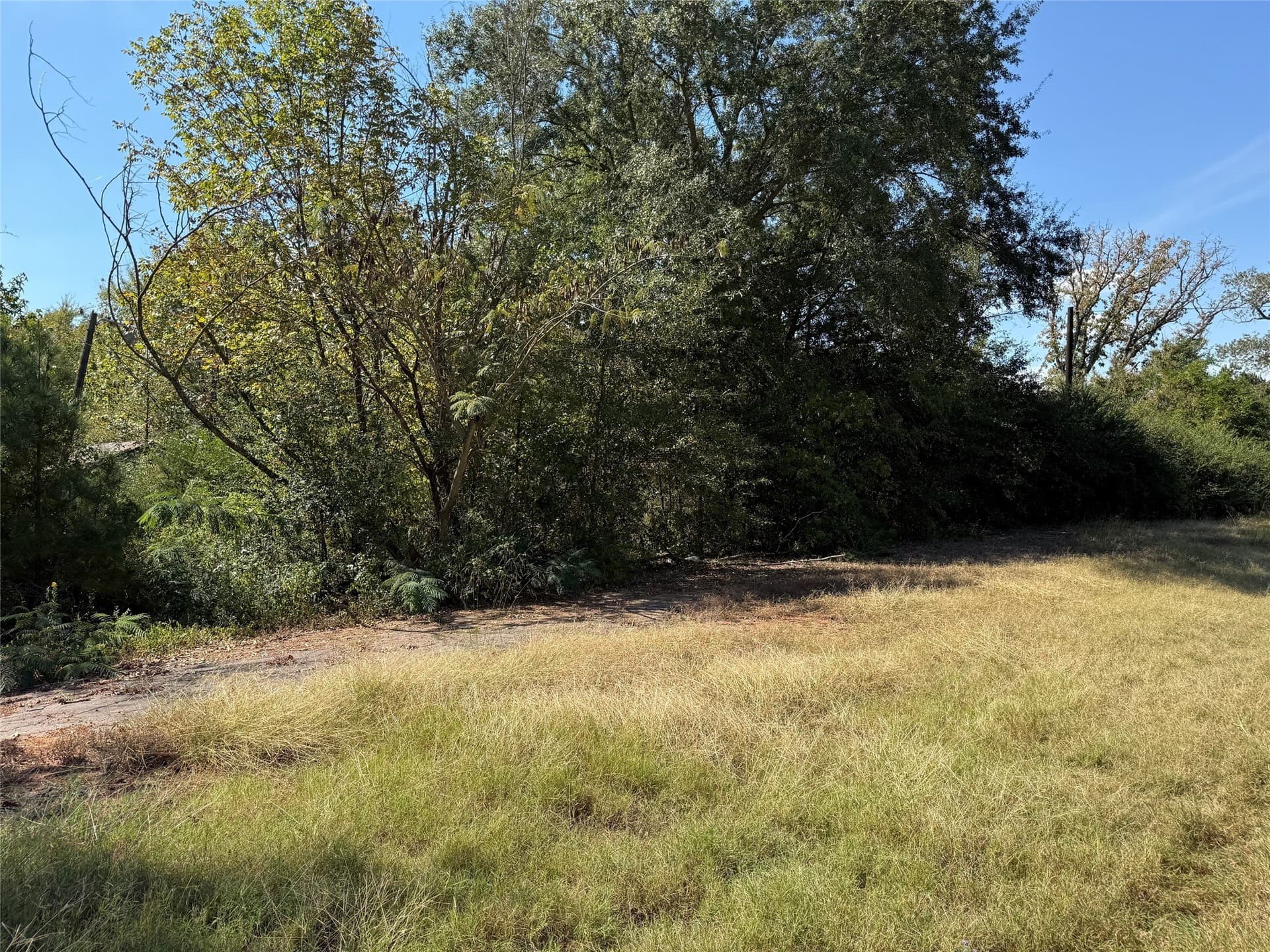 7.37 acres in Wood County - photo 11