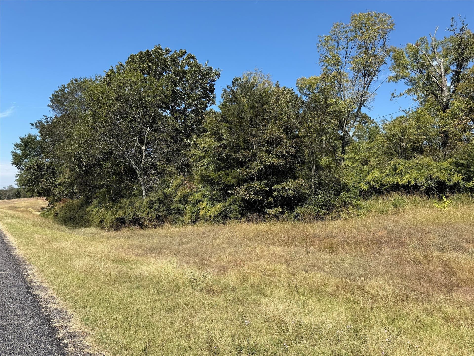 7.37 acres in Wood County gallery image 2