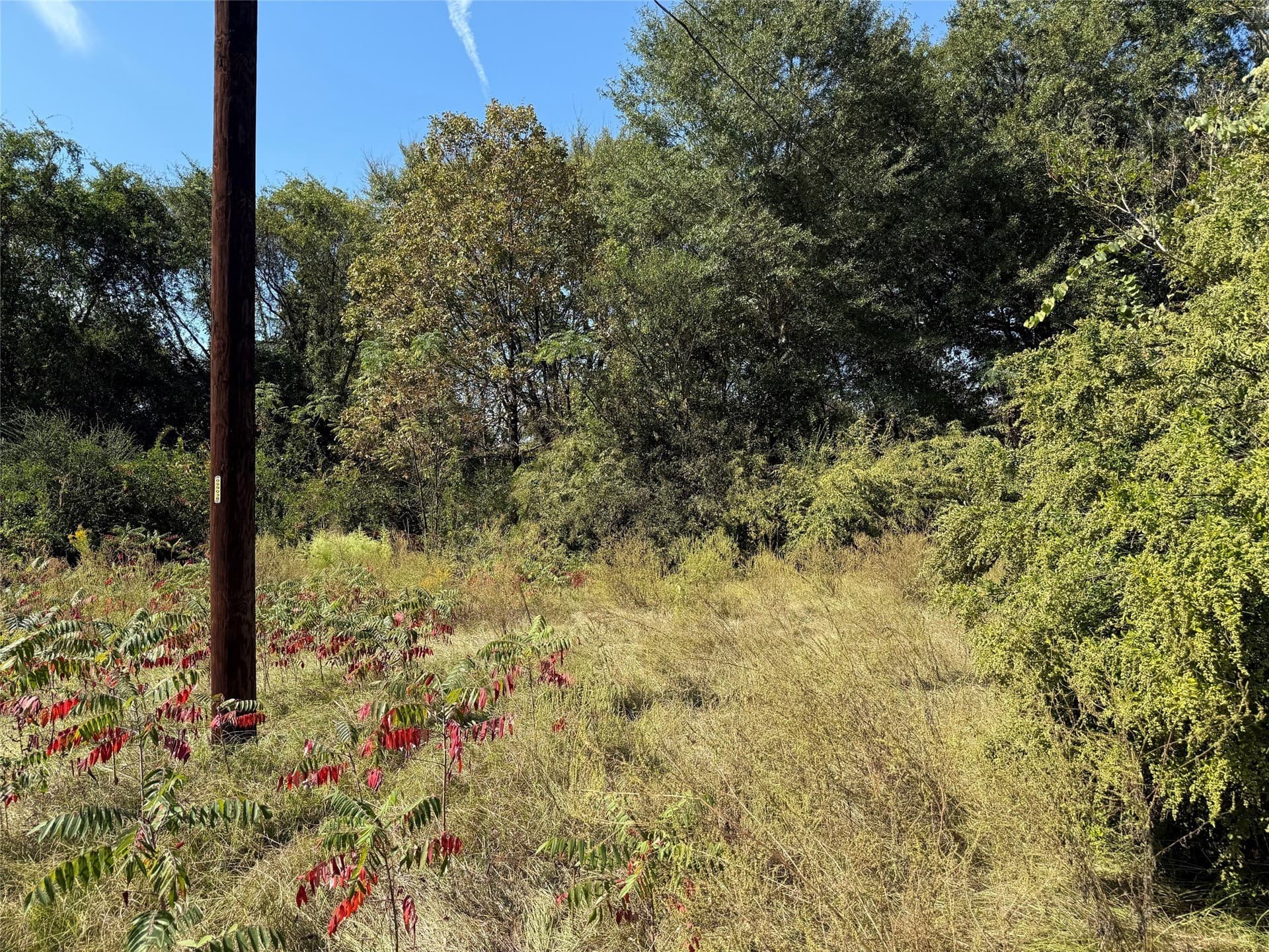 7.37 acres in Wood County - photo 8