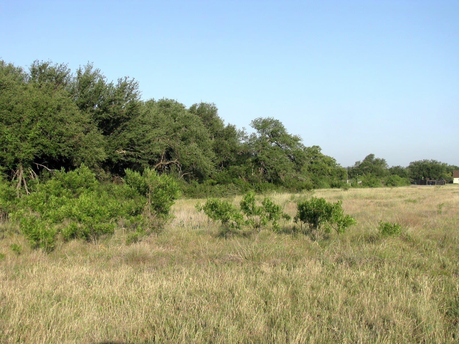 50.24 acres in Hamilton County - photo 25