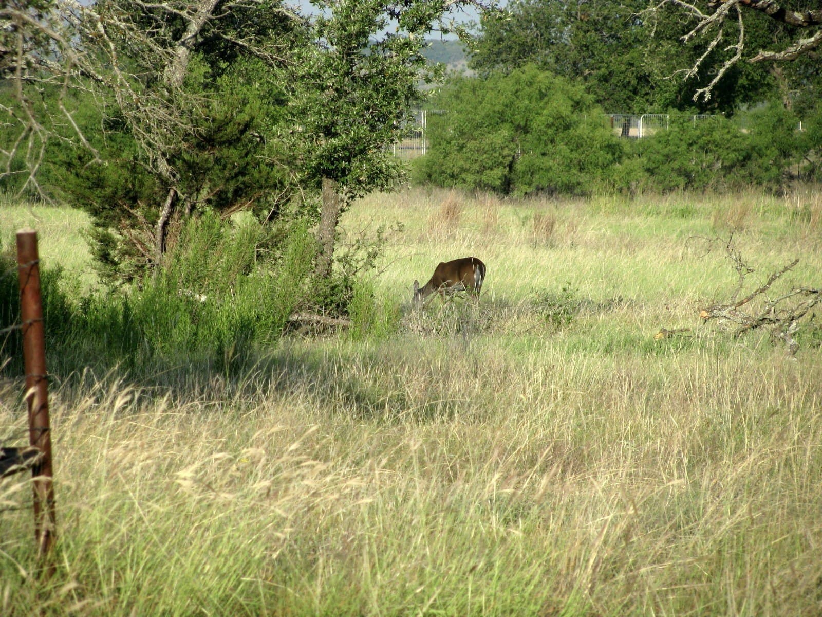 50.24 acres in Hamilton County - photo 24