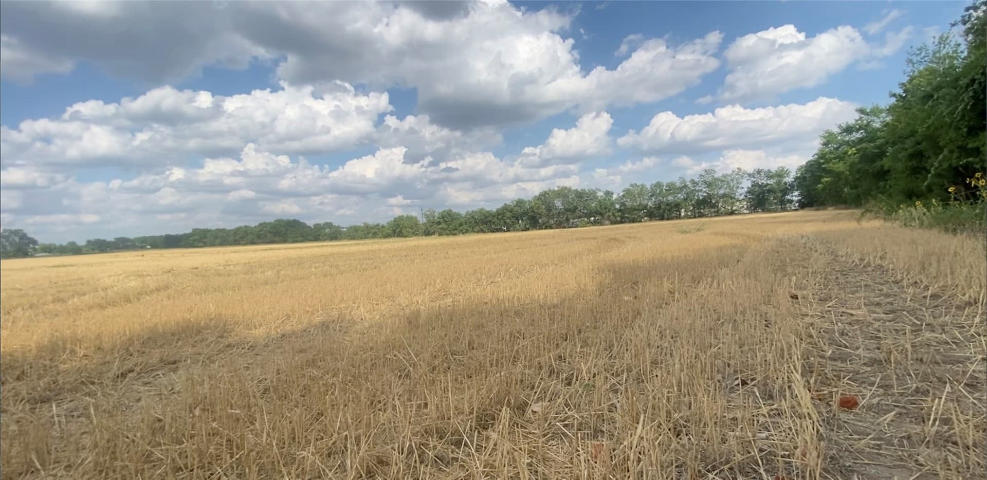 42.24 acres in McLennan County - photo 3