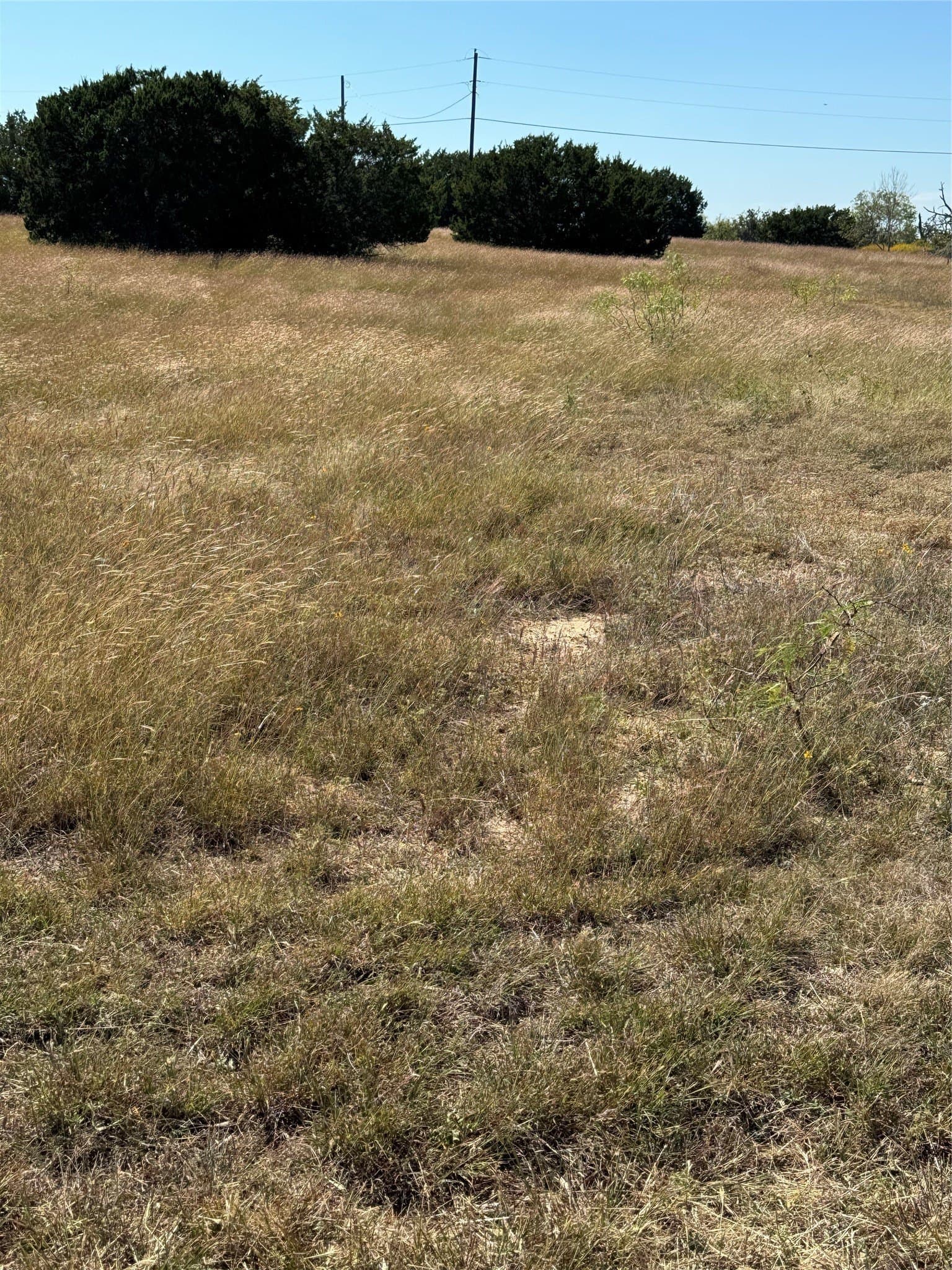 0.35 acres in Hill County gallery image 2