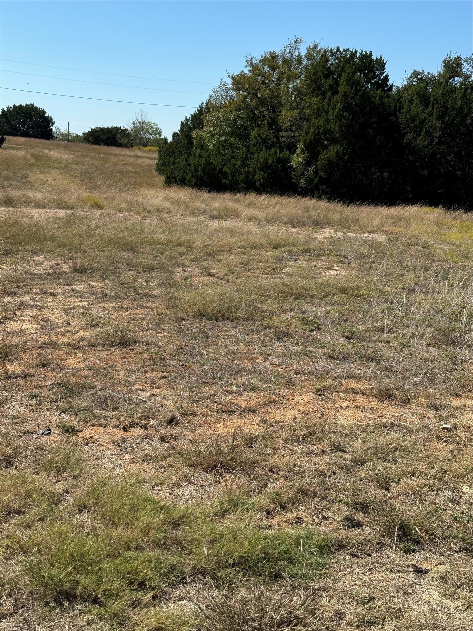 0.35 acres in Hill County gallery image 4