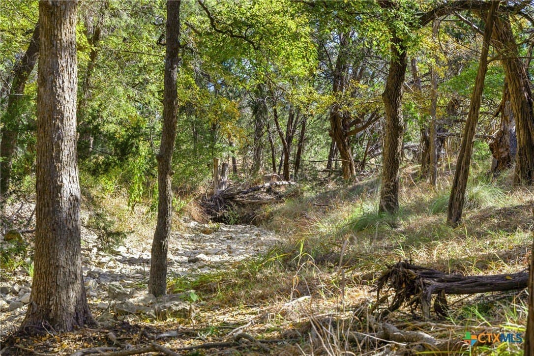 20.58 acres in Comal County gallery image 4