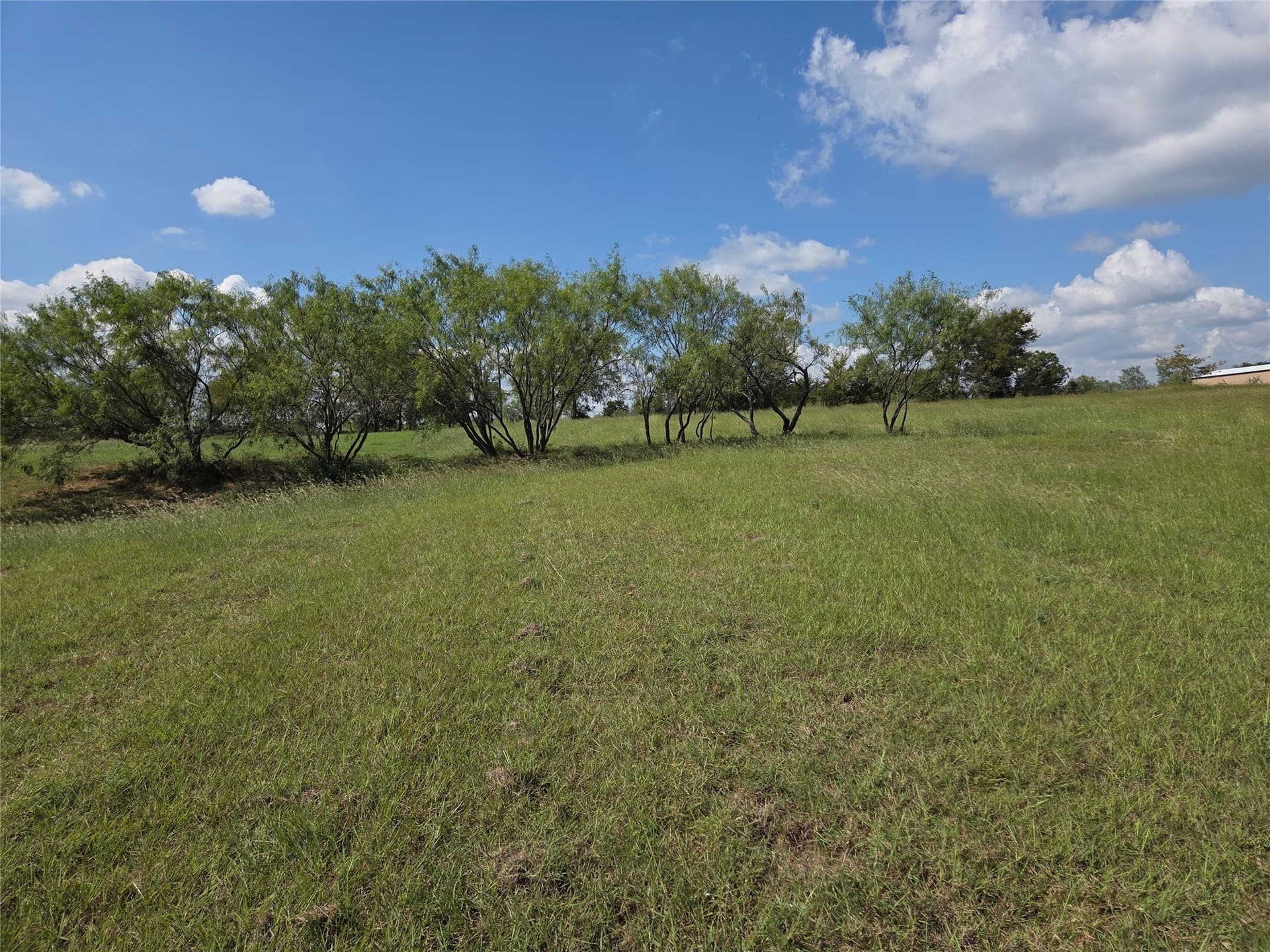 1.02 acres in Navarro County - photo 22