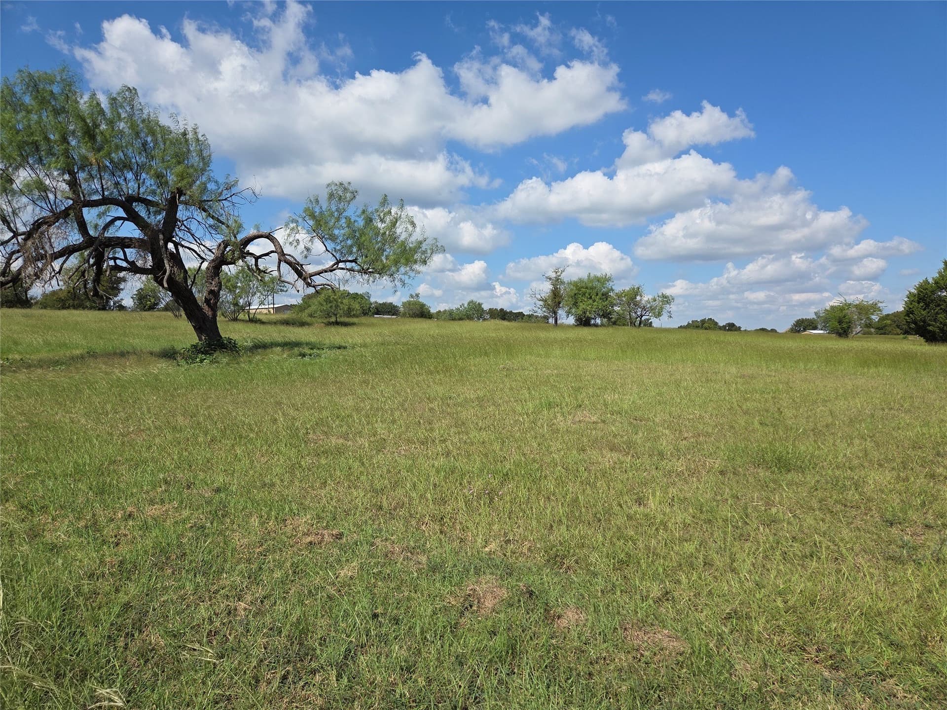 1.02 acres in Navarro County - photo 8