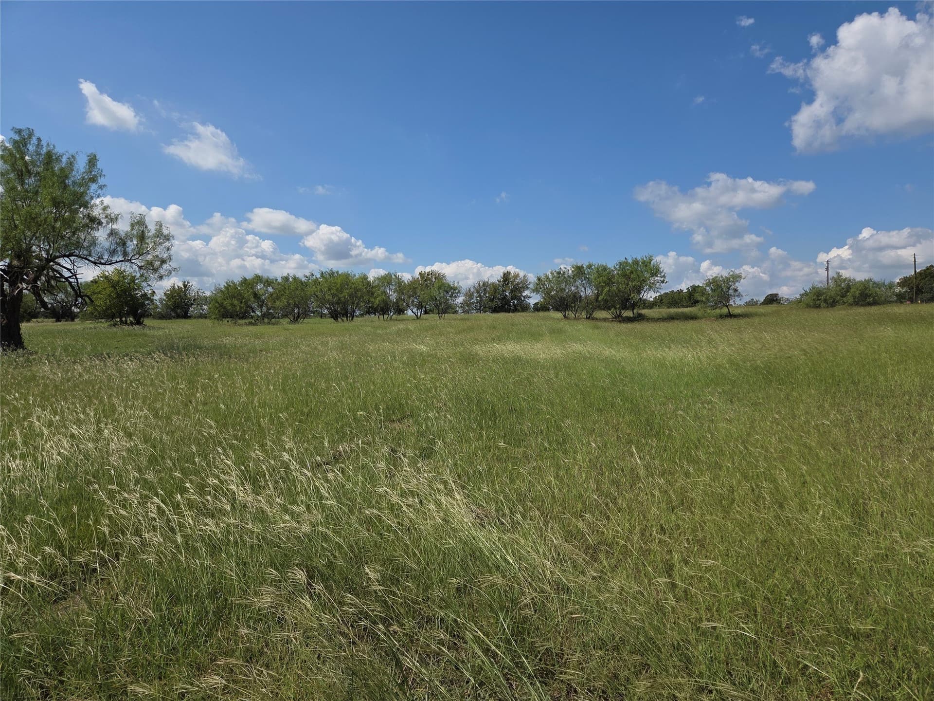 1.02 acres in Navarro County - photo 4