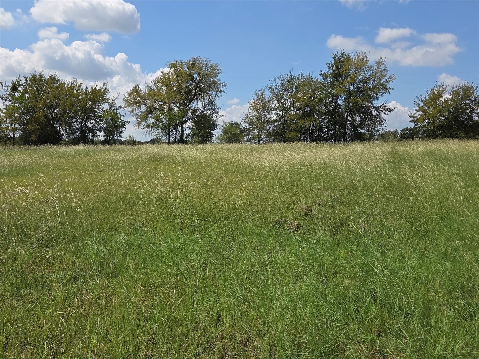1.02 acres in Navarro County - photo 28