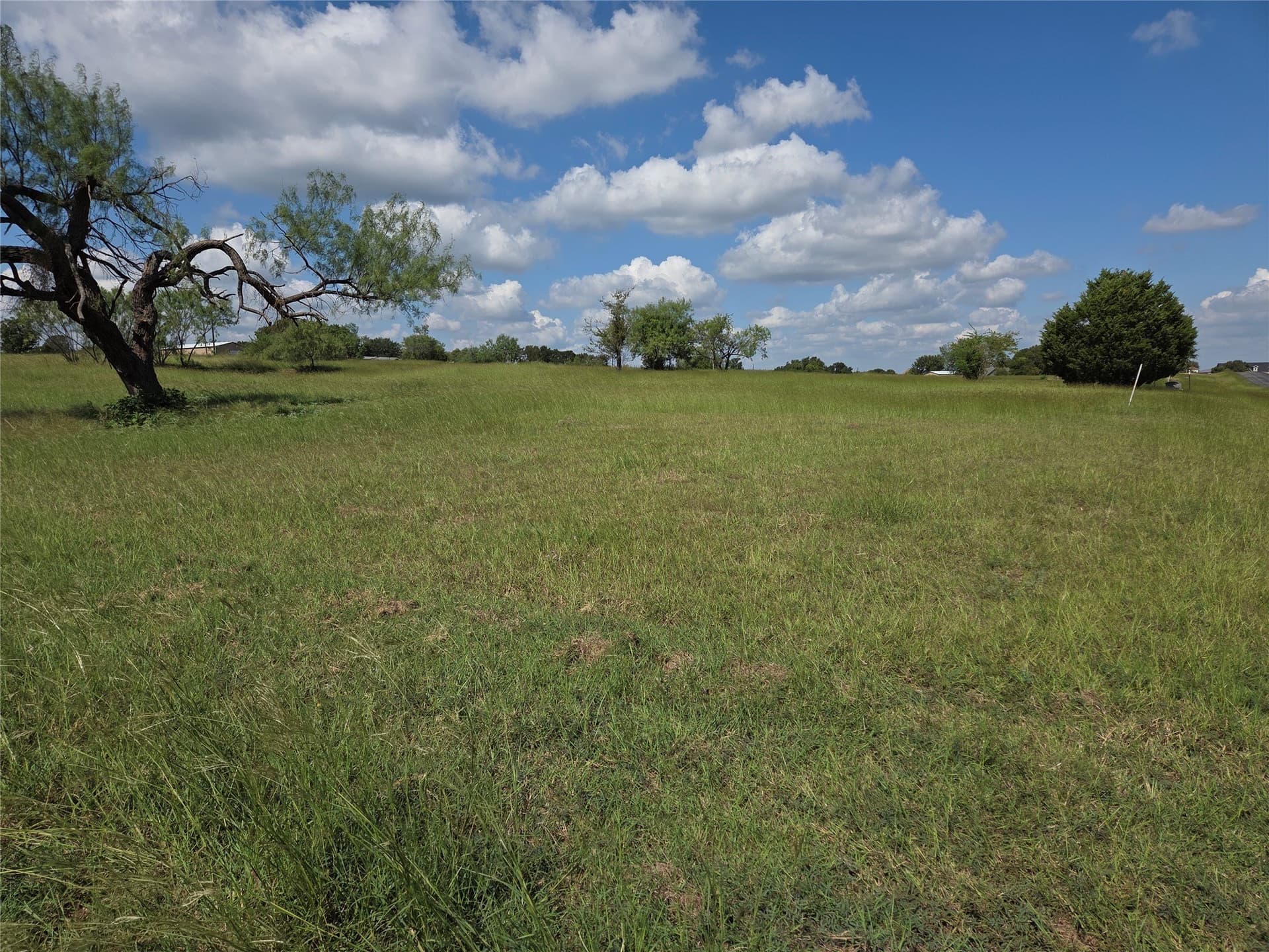 1.02 acres in Navarro County - photo 5