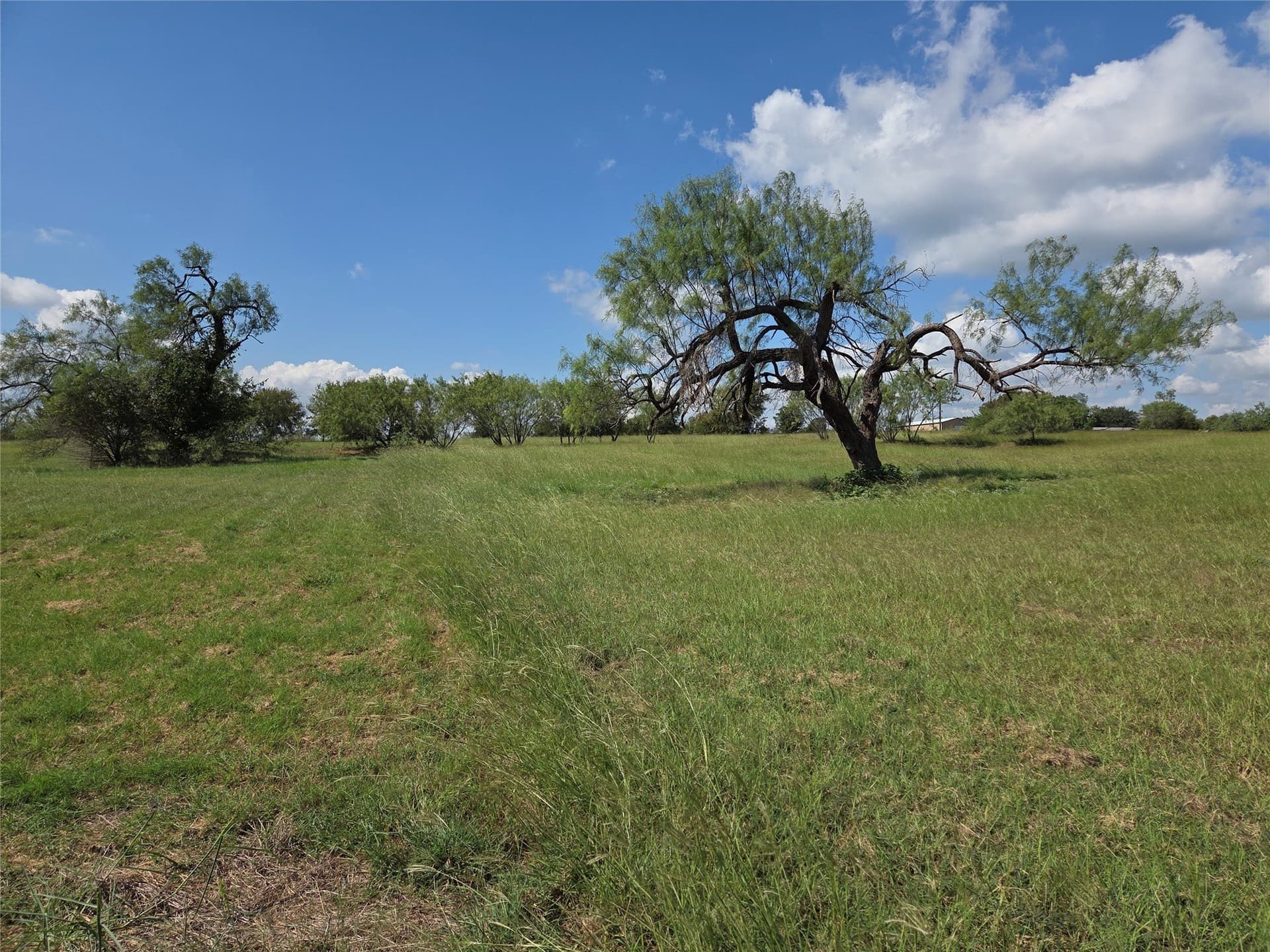 1.02 acres in Navarro County - photo 6