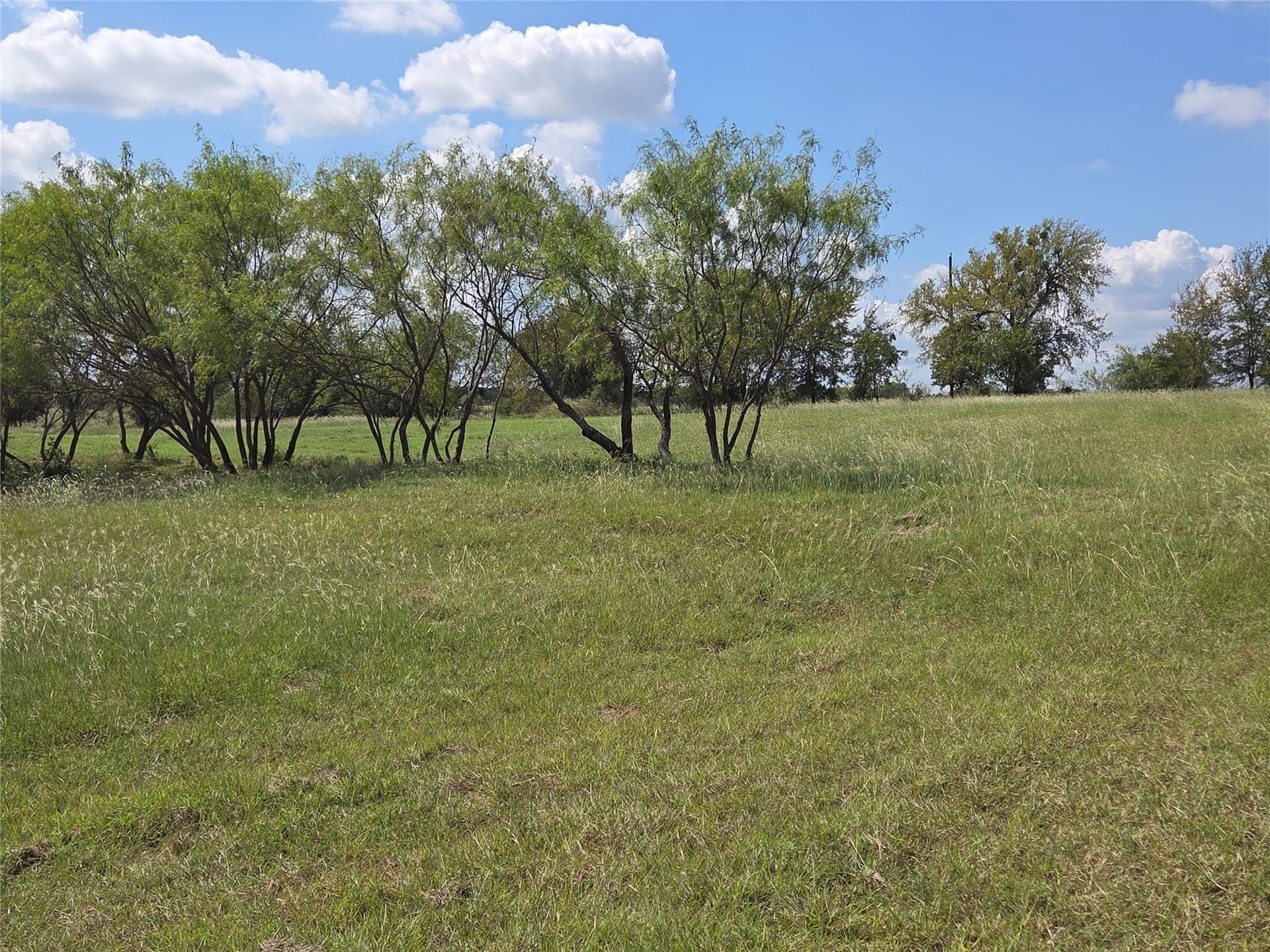 1.02 acres in Navarro County - photo 33