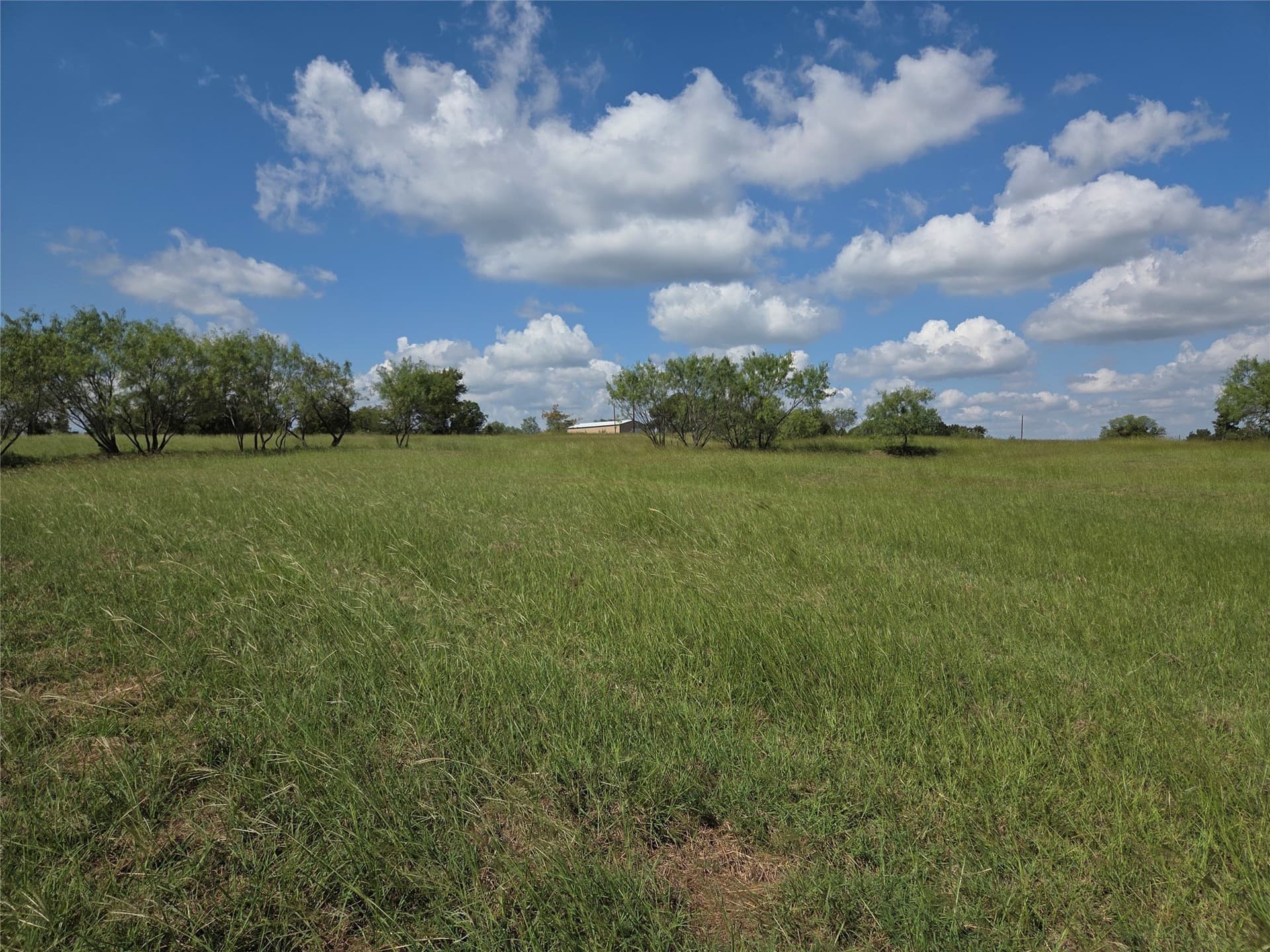 1.02 acres in Navarro County - photo 9