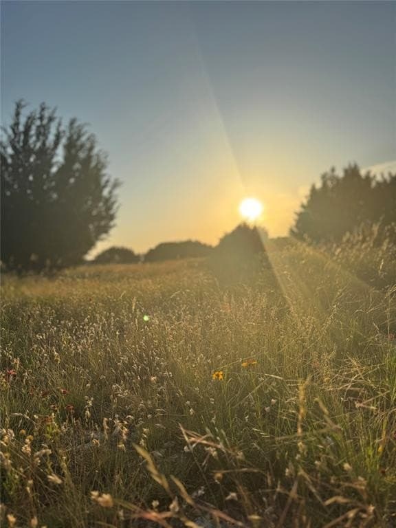 13.43 acres in Eastland County gallery image 2