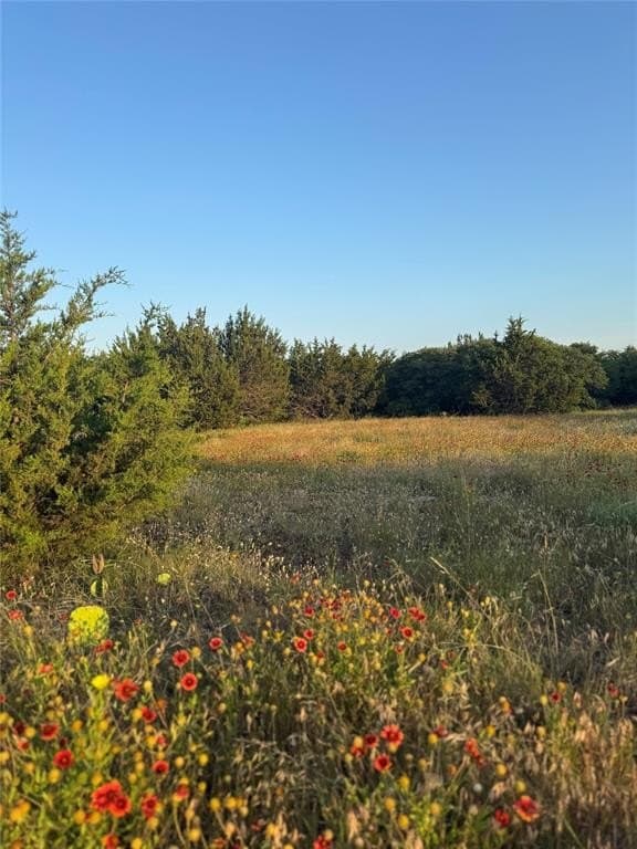 13.43 acres in Eastland County gallery image 3