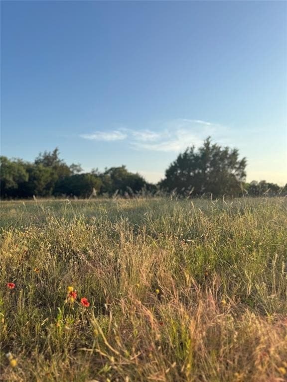 13.43 acres in Eastland County gallery image 4