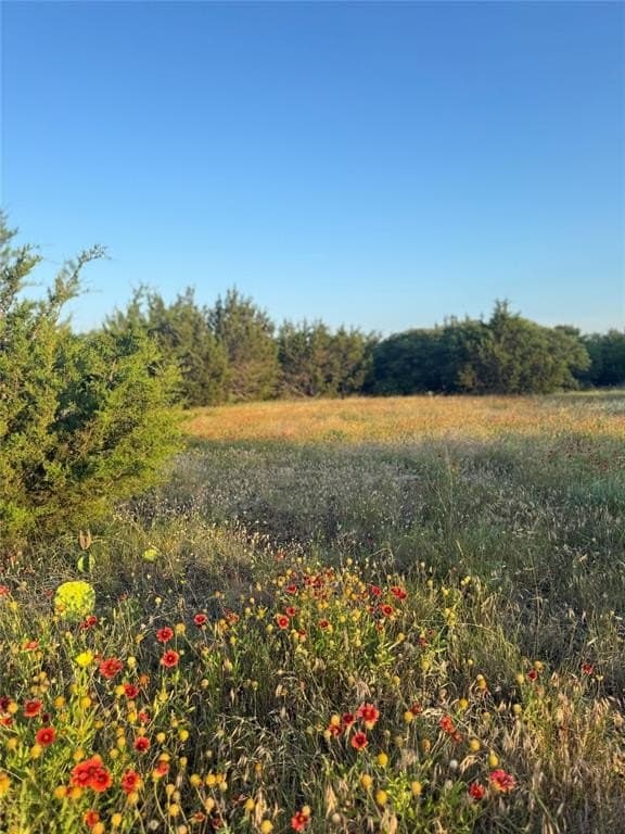 13.43 acres in Eastland County