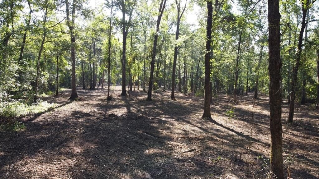 6.5 acres in Texas County - photo 7