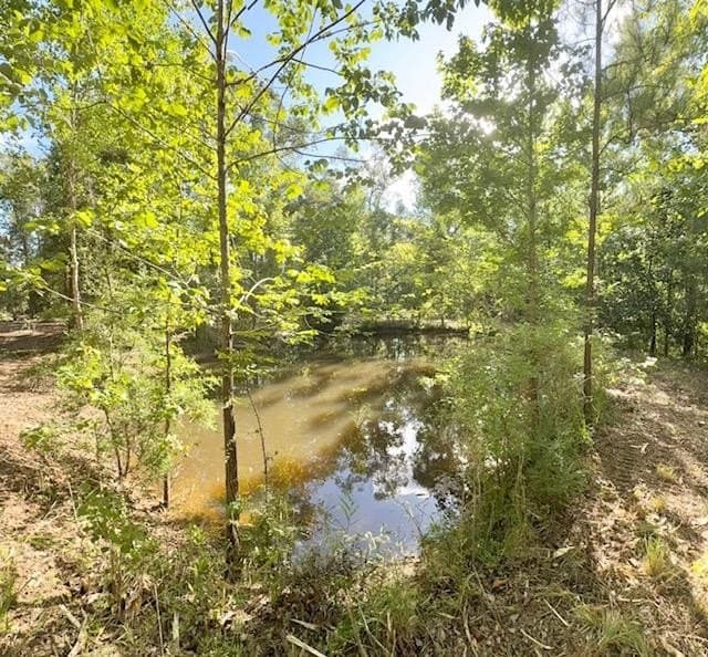 6.5 acres in Texas County - photo 16