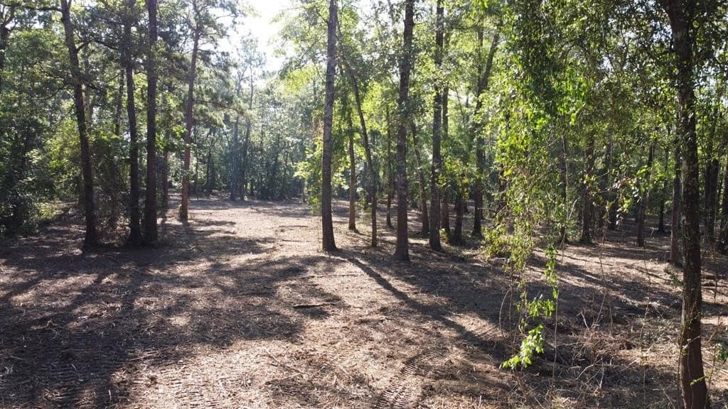 6.5 acres in Texas County - photo 8