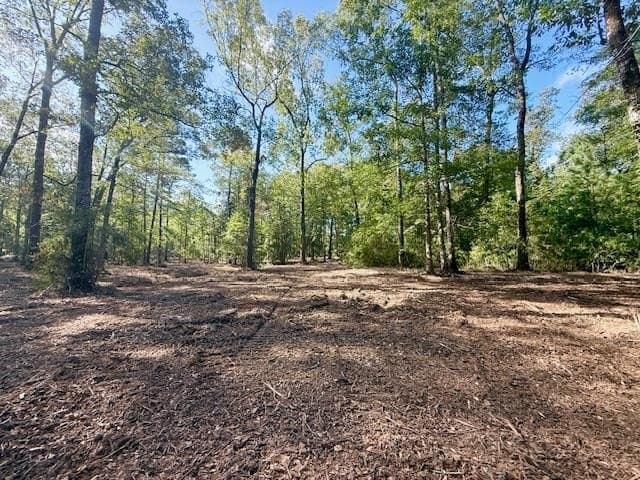 6.5 acres in Texas County - photo 12