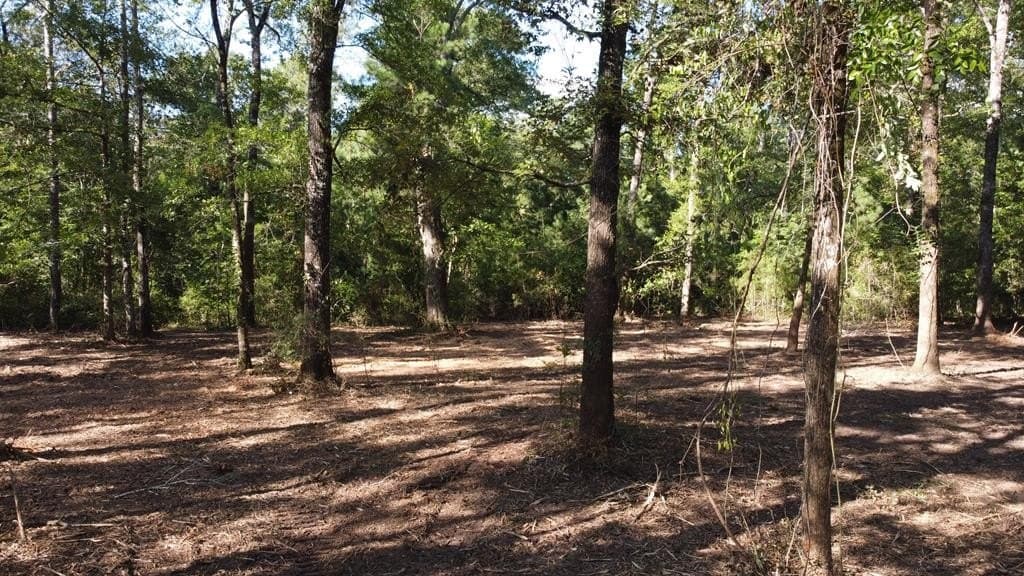 6.5 acres in Texas County - photo 9