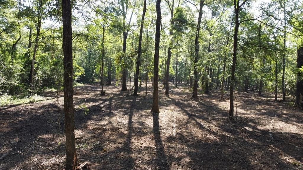 6.5 acres in Texas County - photo 10