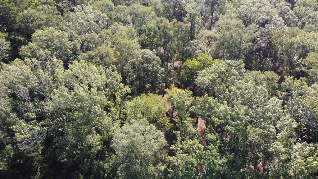 6.5 acres in Texas County - photo 6