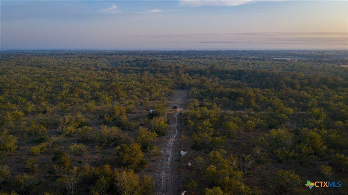 314 acres in Gonzales County - photo 21