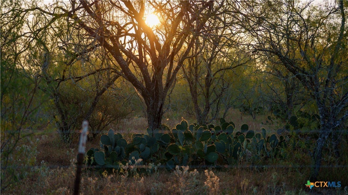 314 acres in Gonzales County - photo 17